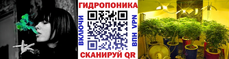 Шишки марихуана MAZAR  Грозный 